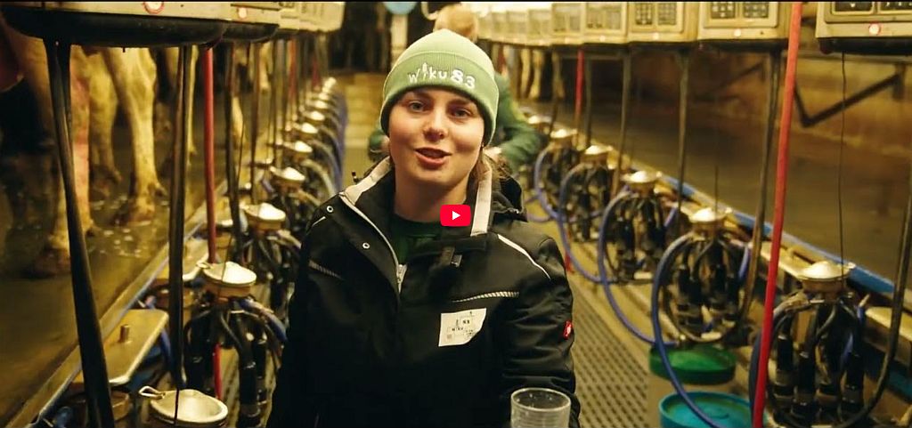 202602 Wiku83 Videoprojekt2